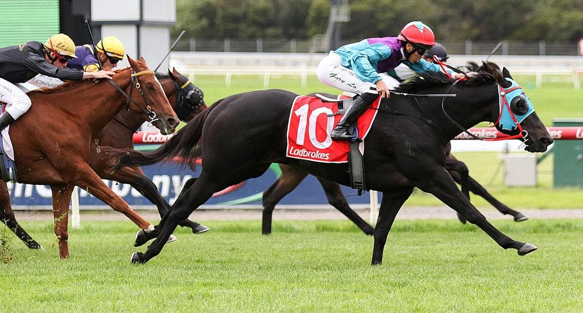 Smiley Bauhinia Racing