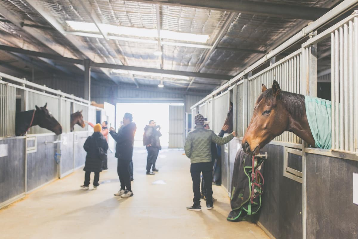 250622 Smiley Racing 1d-23.jpg