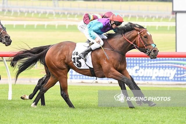 WhatsApp Image 2025-09-24 at 7.30.30 AM (1).jpeg