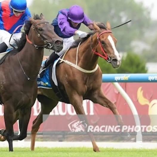 🏇Best Time - Caufield Heath 1800m 3 YO + MDN 🥇A brilliant fight back victory