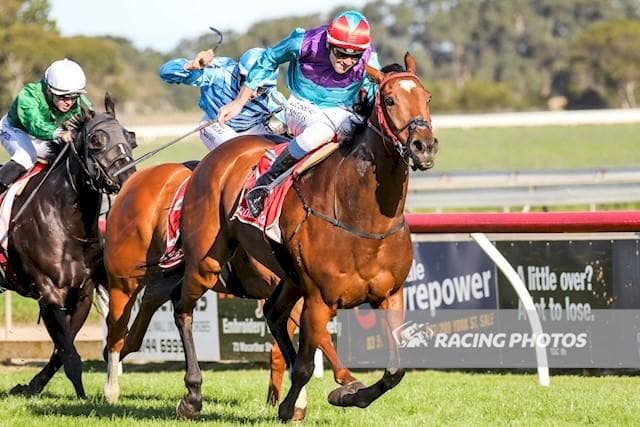 WhatsApp Image 2025-09-24 at 7.30.30 AM.jpeg